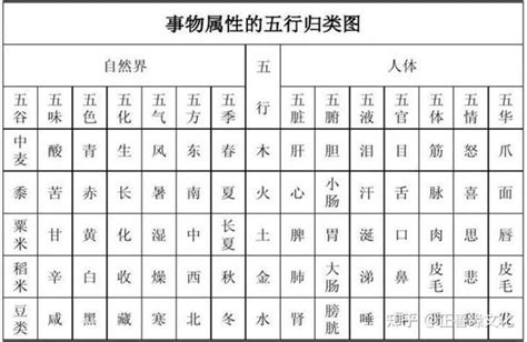 東字五行|汉字五行查询